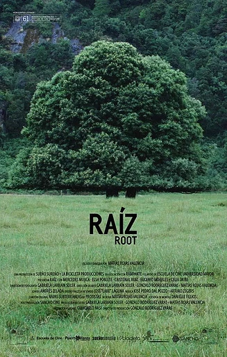 Poster de Raíz