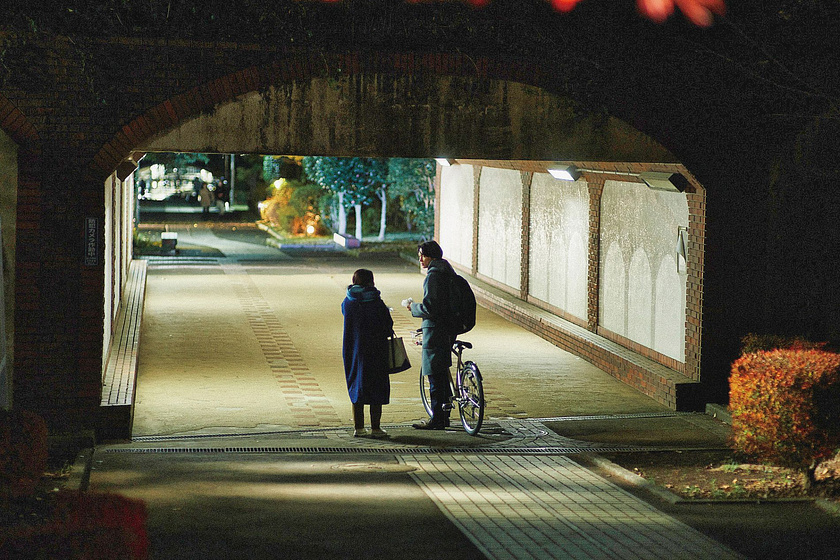 Imagen de All the Long Nights