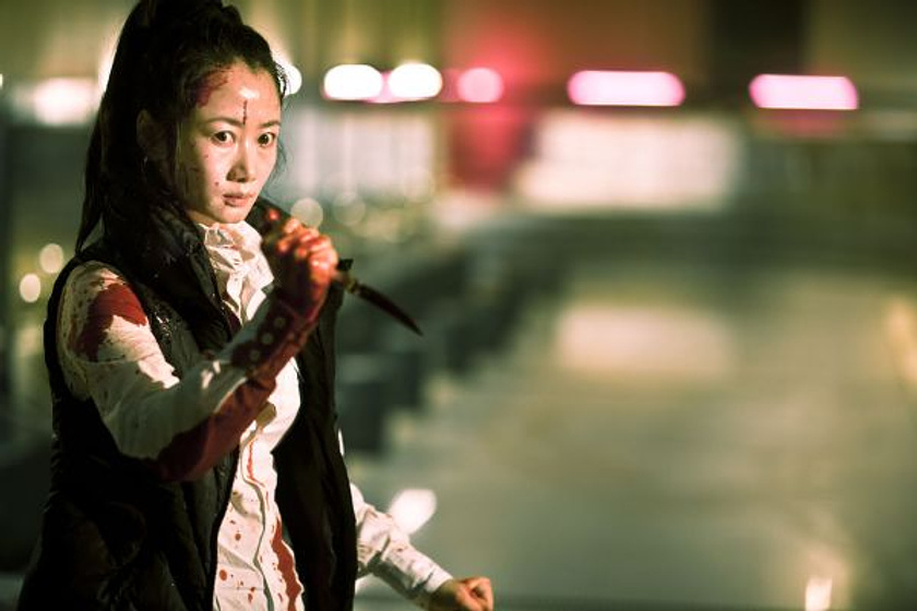 Tao Zhao en Un Toque de Violencia