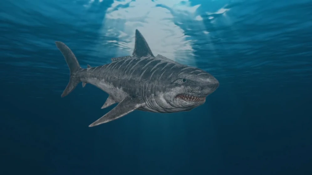 Imagen de jurassic-shark-2-aquapocalypse