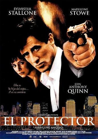 Poster de El Protector