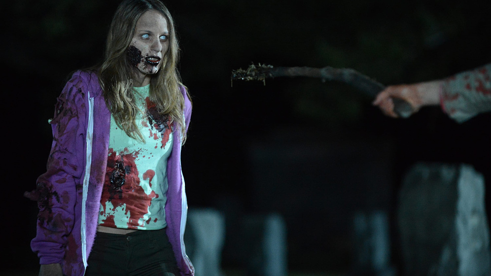 Imagen de Zombie Night