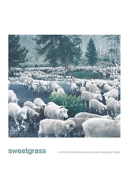 poster of movie Sweetgrass