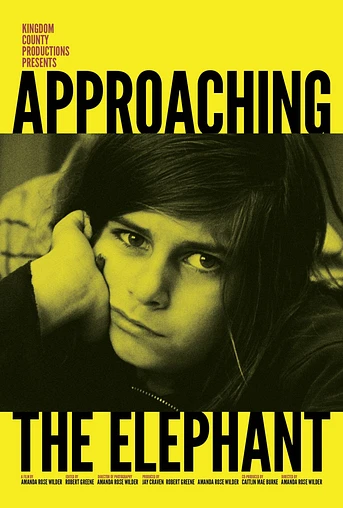 Poster de Approaching the Elephant