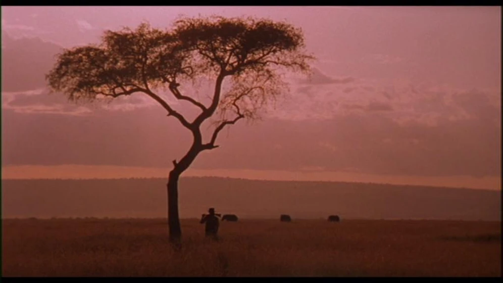 Imagen de memorias-de-africa