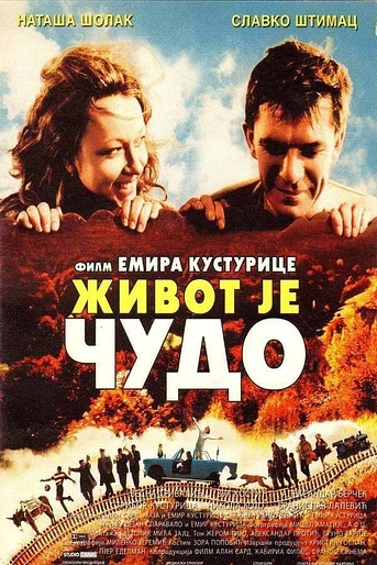 Poster de La Vida es un Milagro