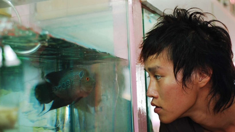 Imagen de The Elephant and the Sea