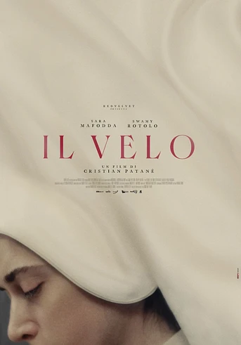 Poster de The Veil