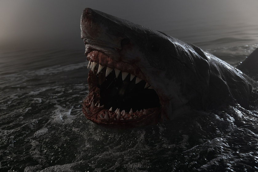 Imagen de Tiburón Blanco. La Bestia del Mar