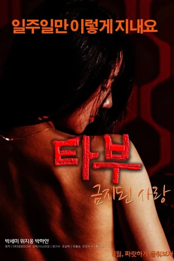 Poster de Taboo: Forbidden Love