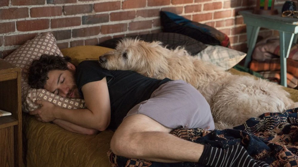 Adam Pally en i-love-dogs