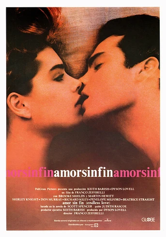 Poster de Amor sin fin