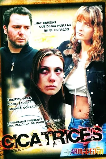 Poster de Cicatrices del alma