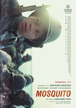 poster of movie Mosquito