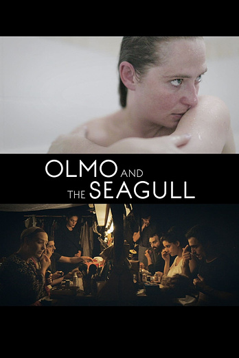 poster of content Olmo & the seagull