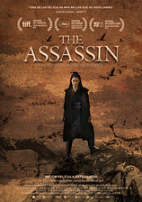poster of movie The Assassin