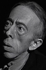 picture of actor David Hoffman