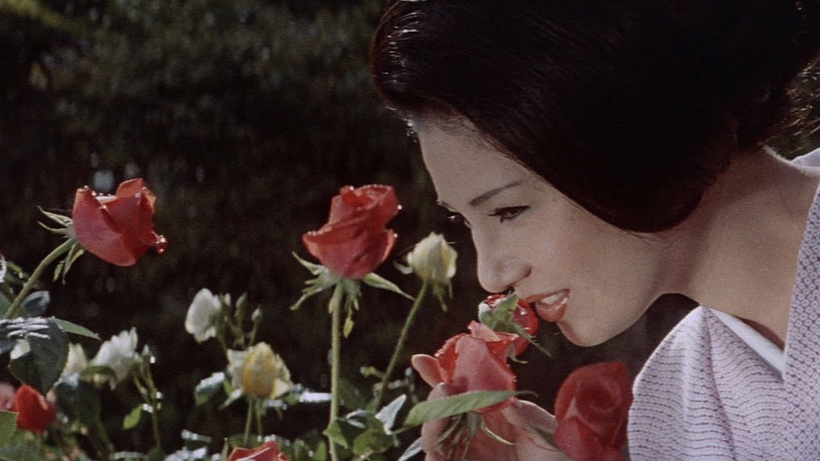Imagen de Flower and Snake