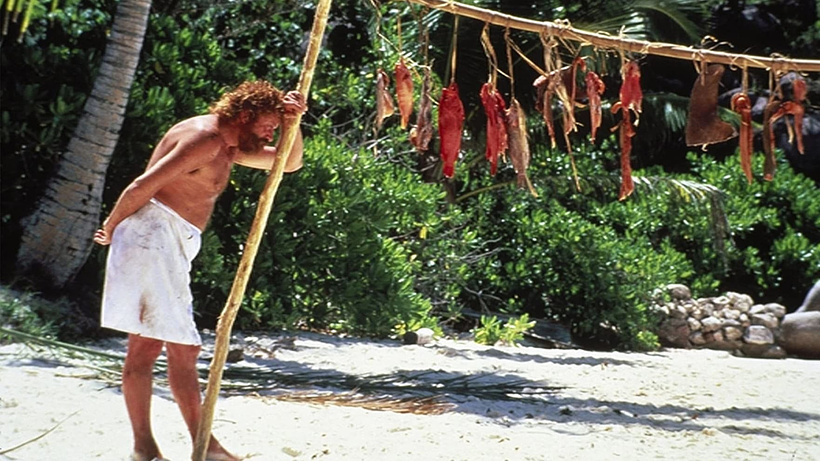 Imagen de Robinson Crusoe por un año