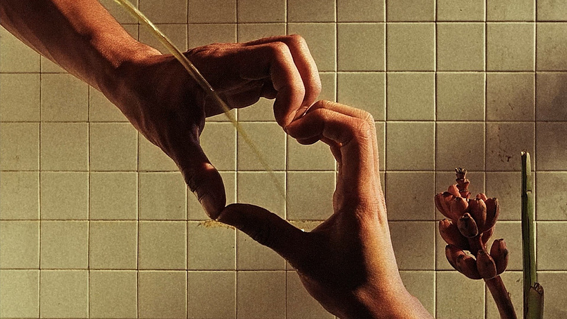 Imagen de Water Sports