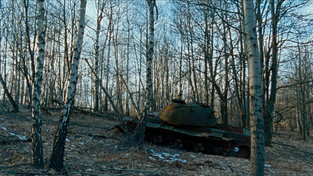 Imagen de The Landscape and the Fury