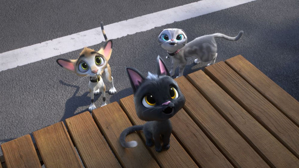 Imagen de Gatos. Un Viaje de vuelta a casa