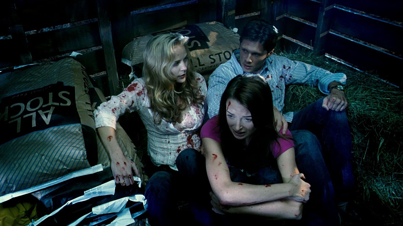 Imagen de Grizzly park