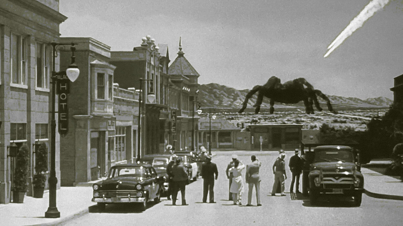 Imagen de Tarántula