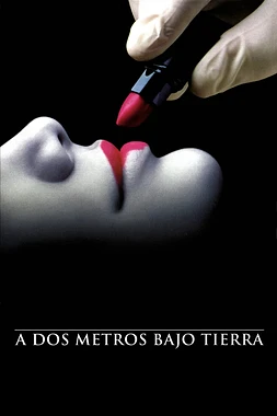 poster for the season 1 of A dos metros bajo tierra
