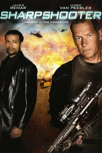 Poster de Liquidador