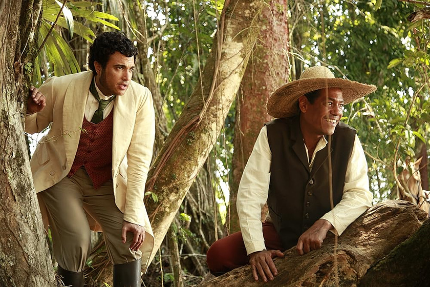 Imagen de Chiapas, El Corazón del Café