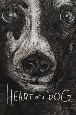 Heart of a dog