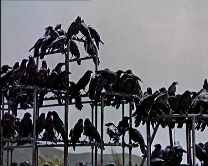 still of movie Los Pájaros