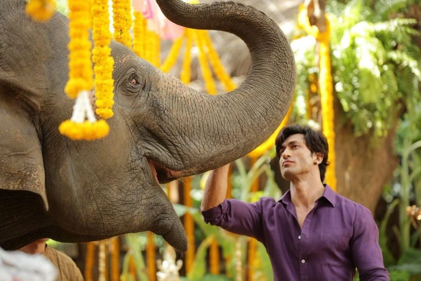 Vidyut Jammwal en junglee-alma-salvaje