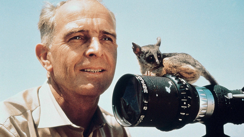 Imagen de Serengeti Shall Not Die