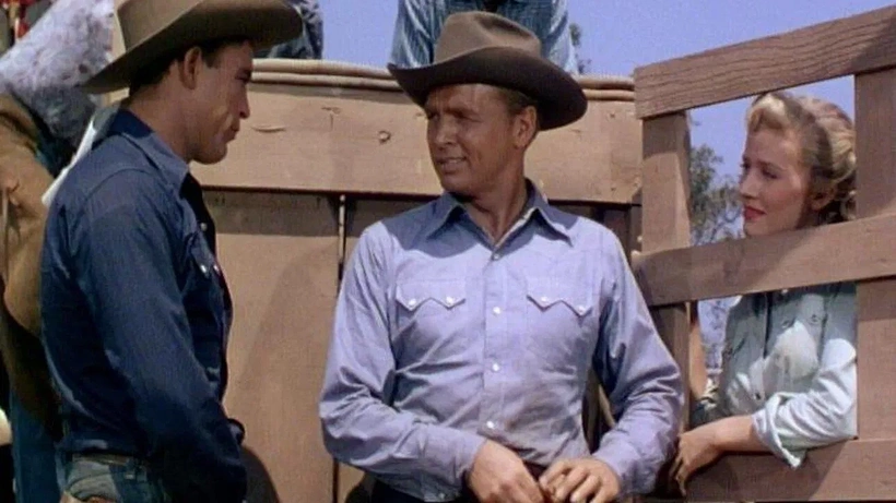 Imagen de Bronco Buster