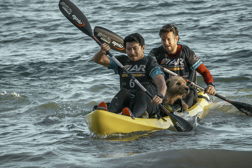Imagen de Arthur