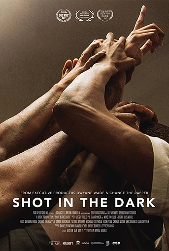 Poster de Shot in the Dark