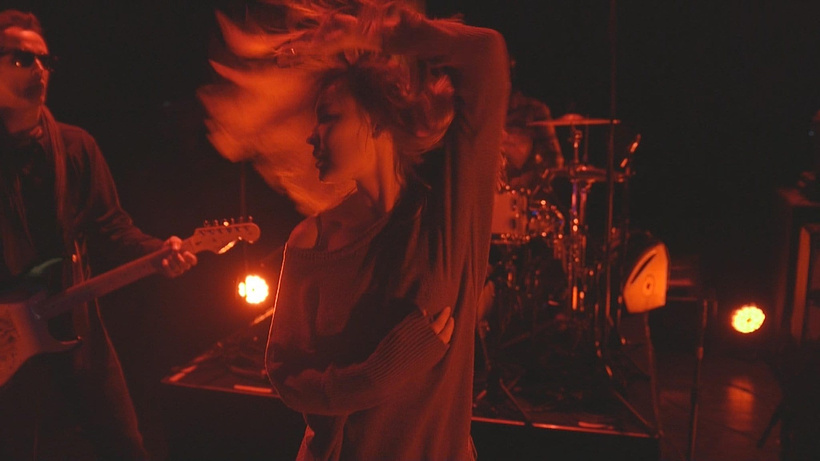 Imagen de Alive in France
