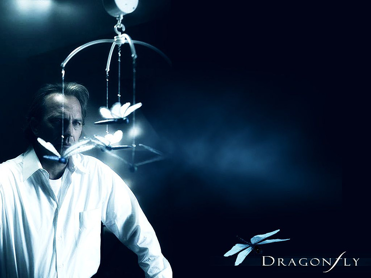 Imagen de Dragonfly: La Sombra de la Libélula (Poster promocional)