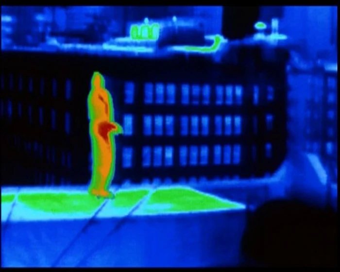 Imagen de depredador-2