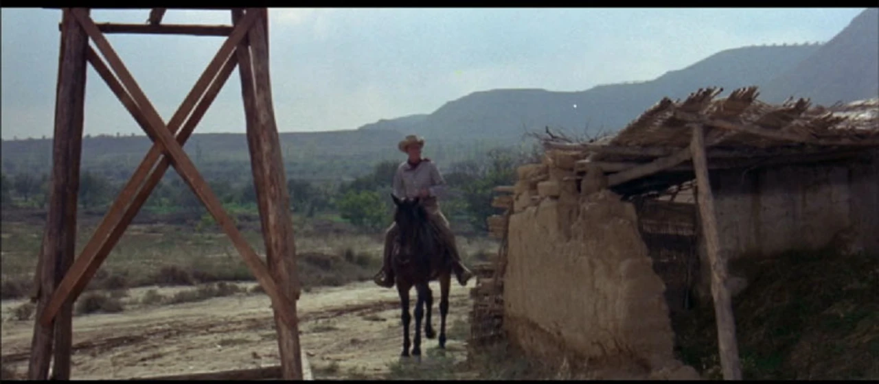 Imagen de texas-kid