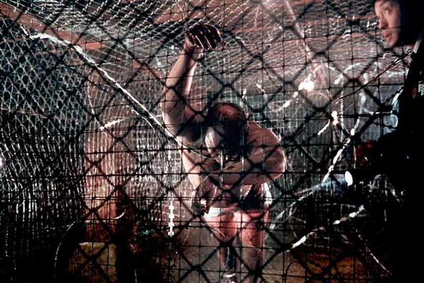 Imagen de Saw