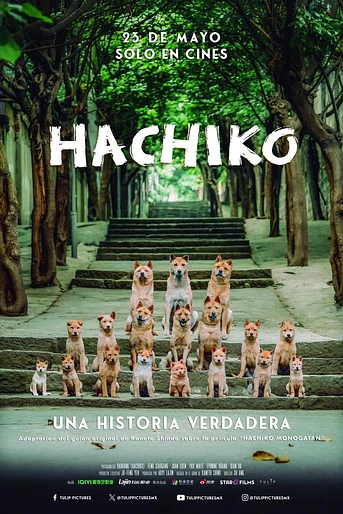 Poster de Hachiko