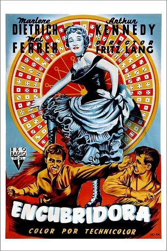 Poster de Encubridora