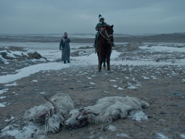Imagen de Graveyard of Horses