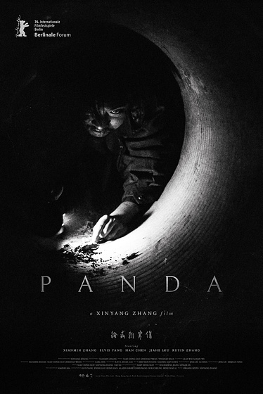 Imagen de panda (Cartel Berlinale)
