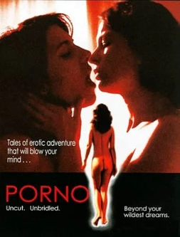 poster of movie Porno