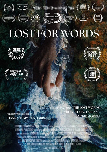 Poster de Lost for Words
