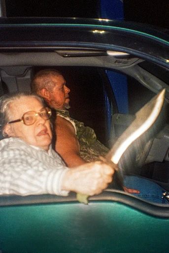 Poster de The Python Hunt